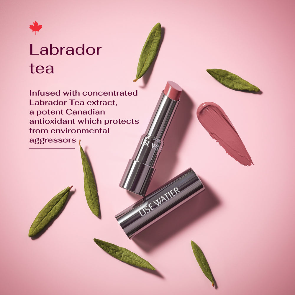 Plum Harmony Lip Set